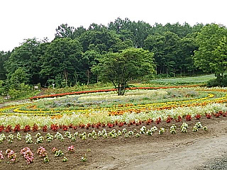 02c07058a48020330d6c5807840d4c7e16.jpg 02c07058a48020330d6c5807840d4c7e16.jpg