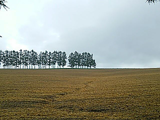 051f1ebe638c2f67ee9b6cbe0f8a4ccbab.jpg 051f1ebe638c2f67ee9b6cbe0f8a4ccbab.jpg